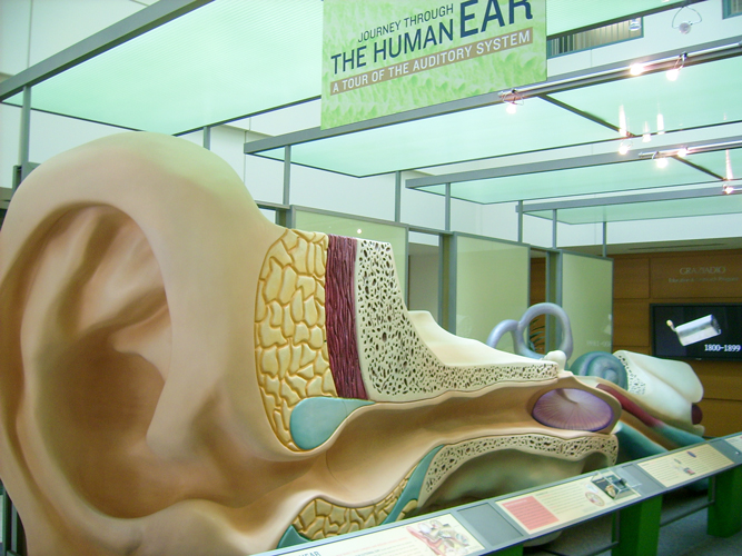 Ear Canal Display